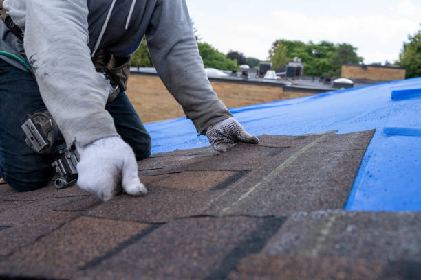 Best Roof Maintenance Services  in Menlo Park, CA